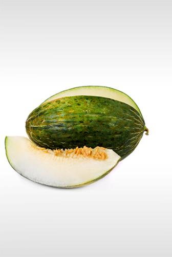 rock melon